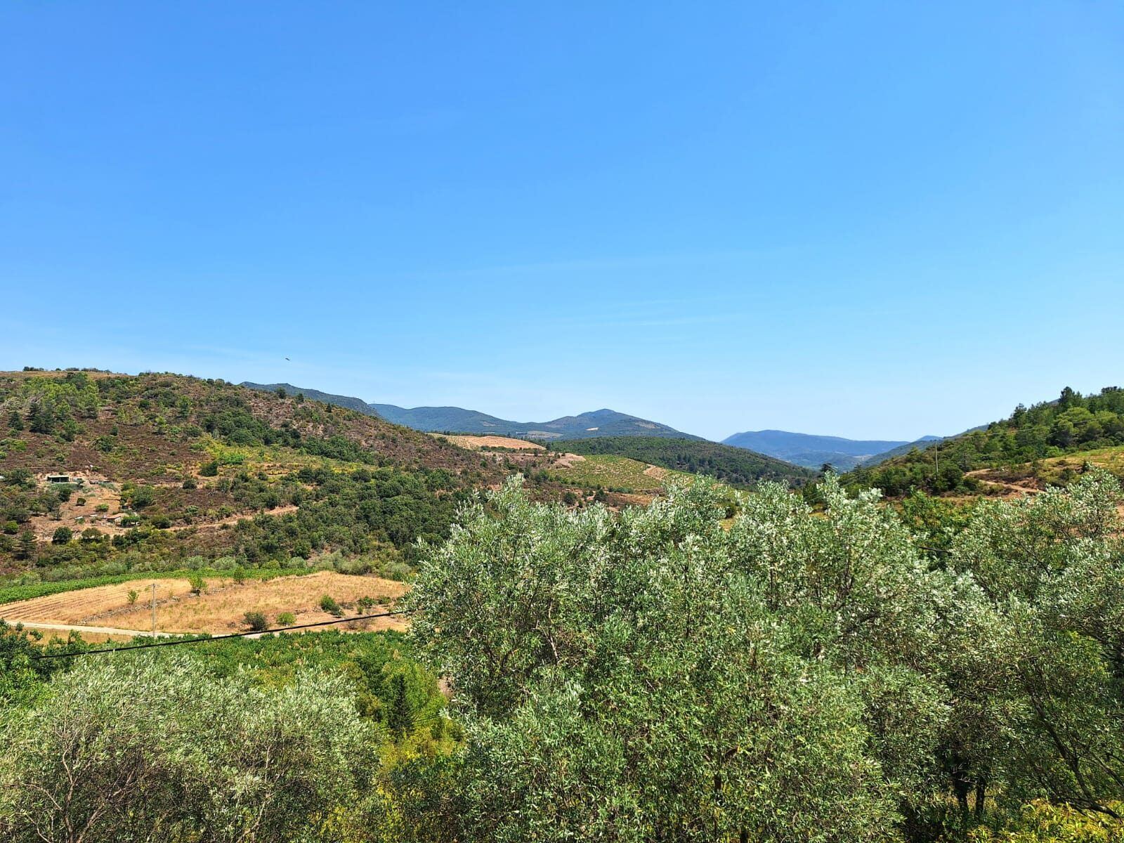 Vue sur les collines du Haut-Languedoc